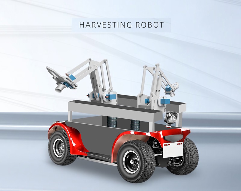 2024老澳门原料网大全