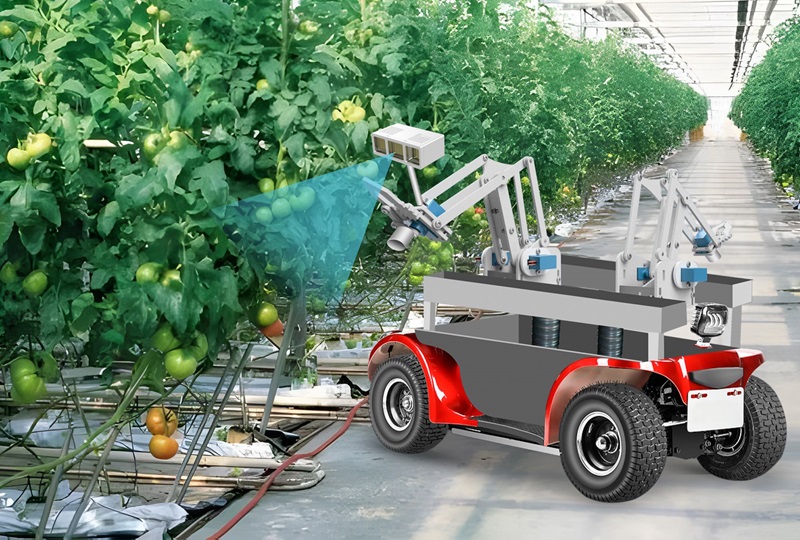 2024老澳门原料网大全