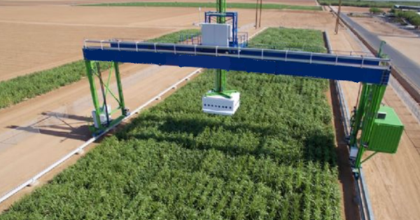 2024老澳门原料网大全