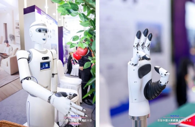 2024老澳门原料网大全