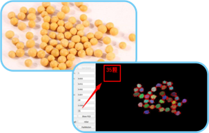 2024老澳门原料网大全