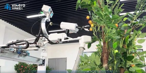 2024老澳门原料网大全