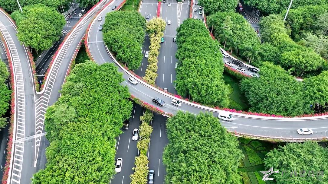2024老澳门原料网大全