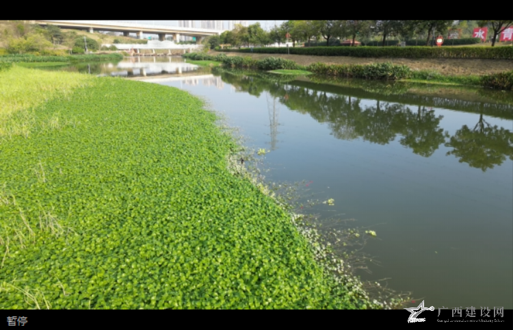 2024老澳门原料网大全
