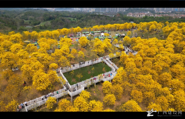 2024老澳门原料网大全