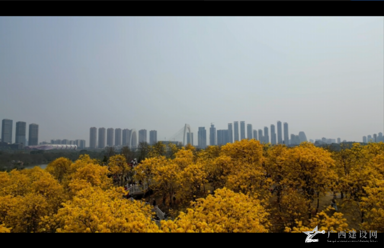 2024老澳门原料网大全