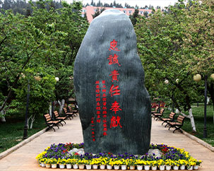 2024老澳门原料网大全