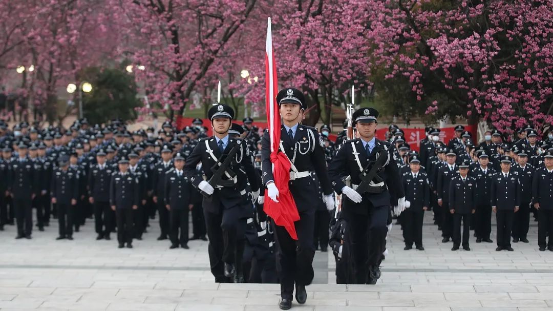 2024老澳门原料网大全