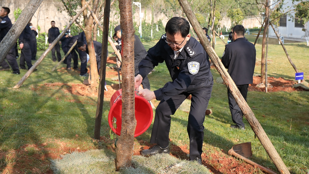 2024老澳门原料网大全