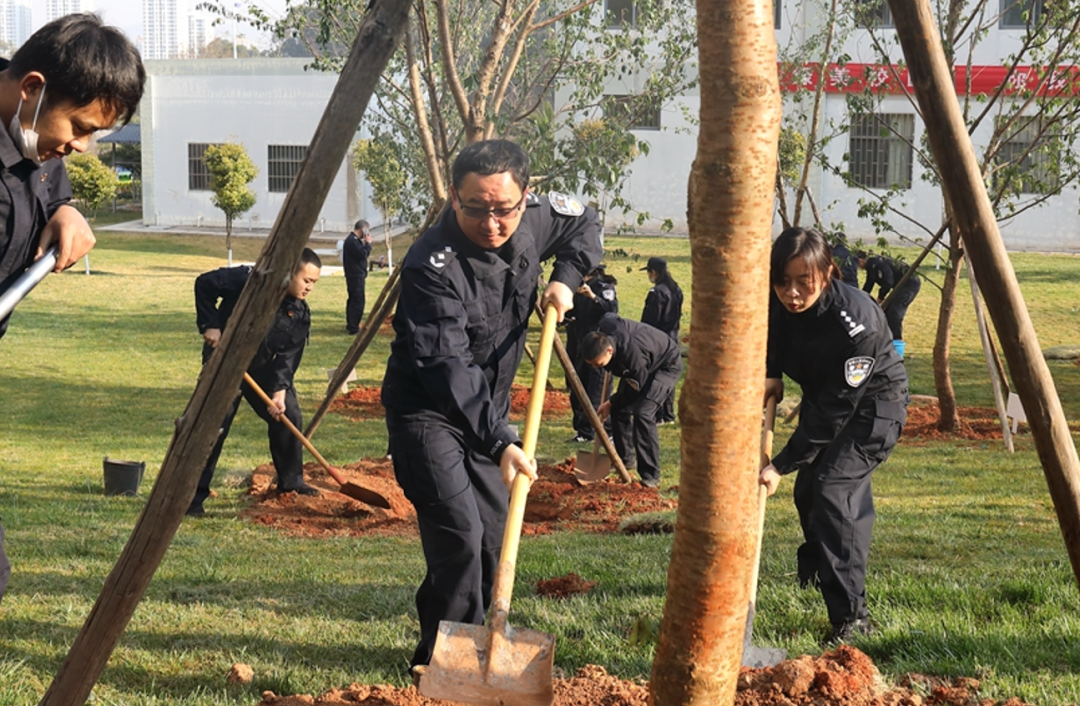 2024老澳门原料网大全