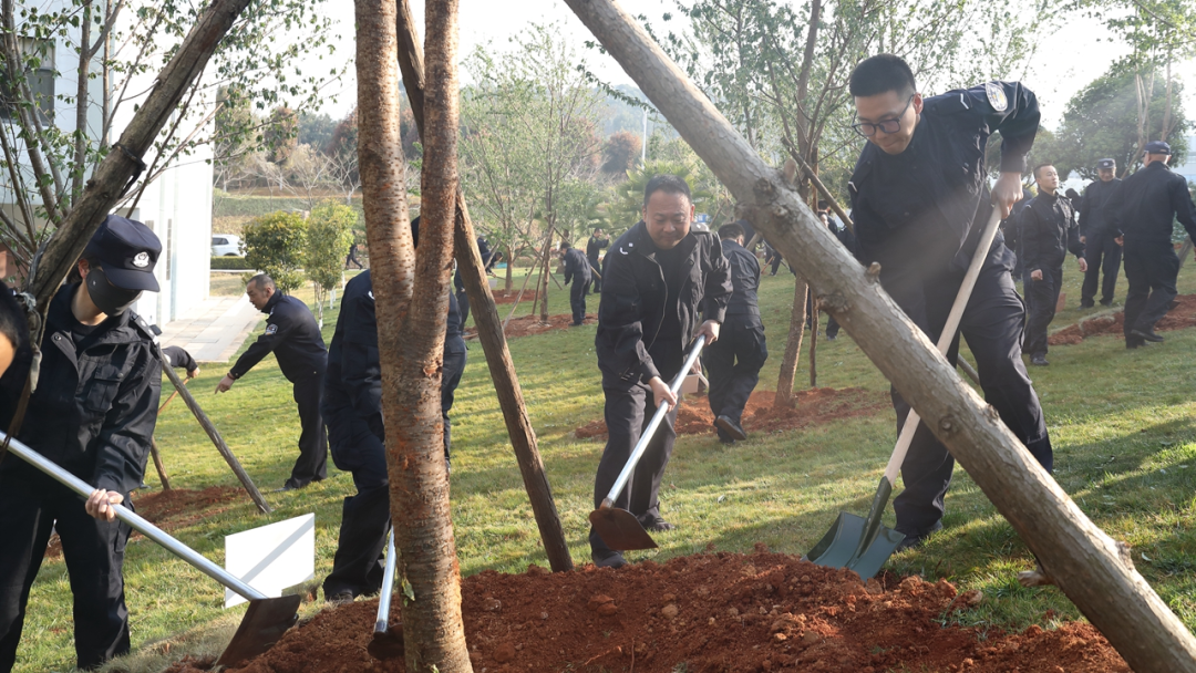 2024老澳门原料网大全