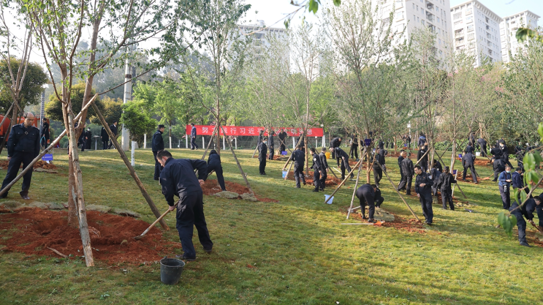 2024老澳门原料网大全