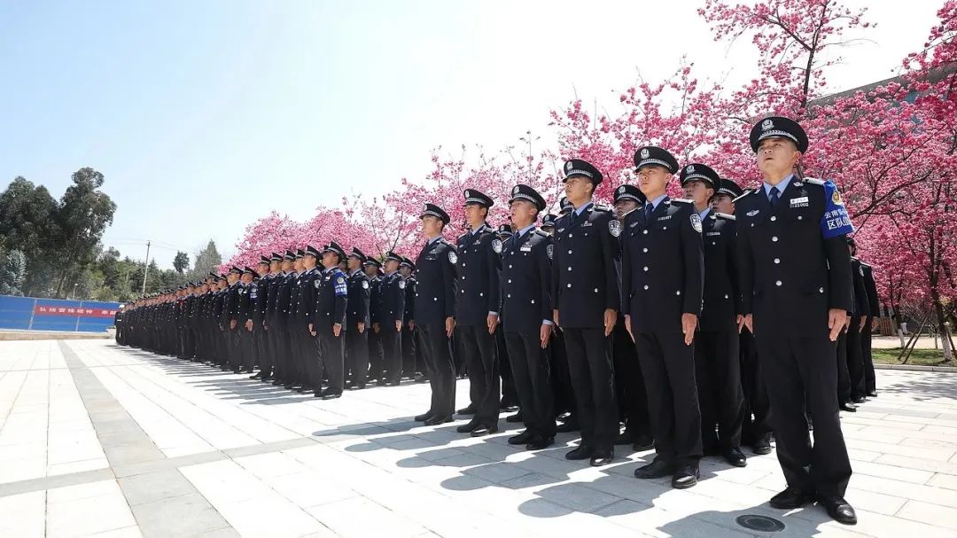 2024老澳门原料网大全