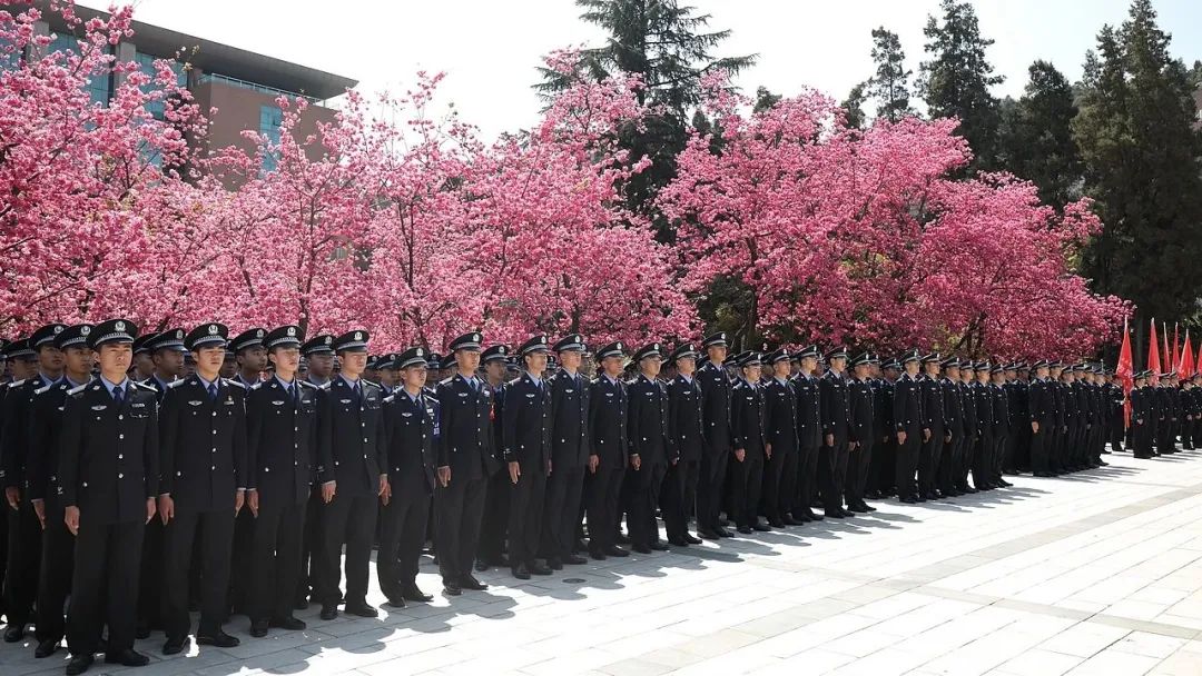 2024老澳门原料网大全