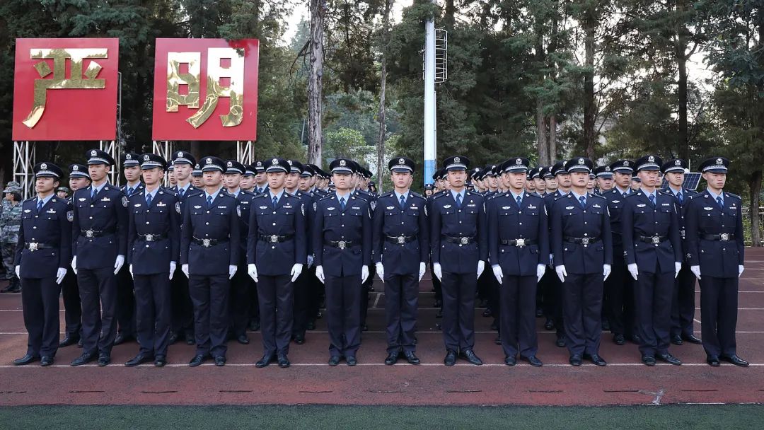 2024老澳门原料网大全