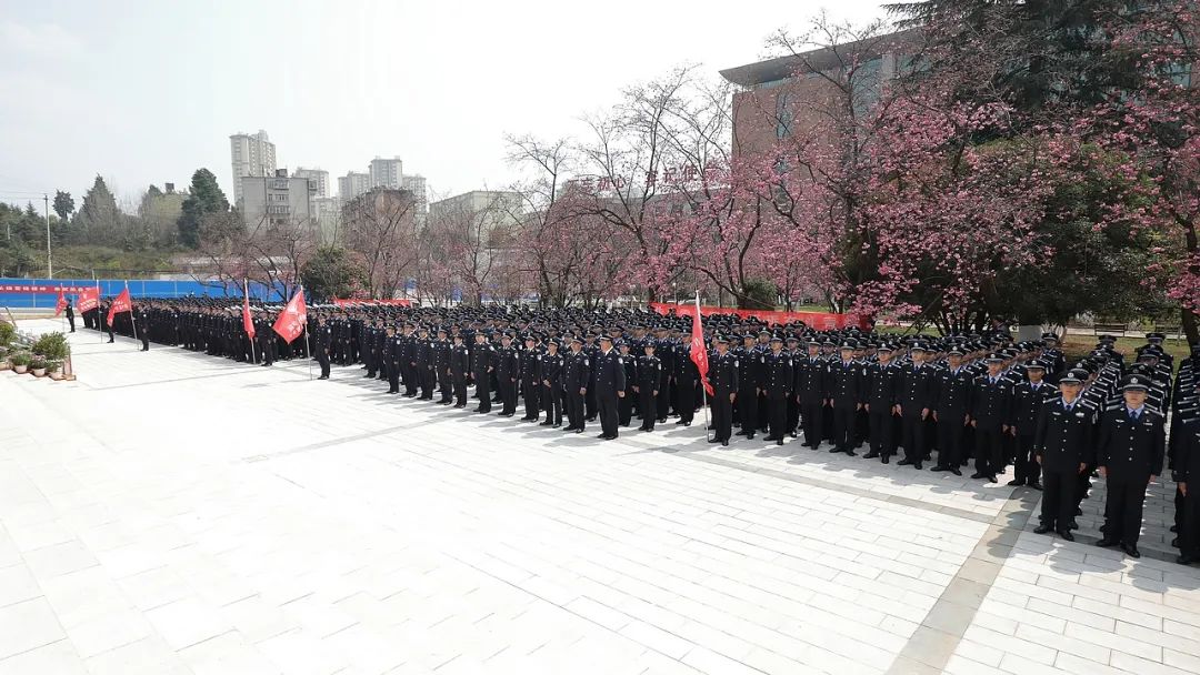 2024老澳门原料网大全