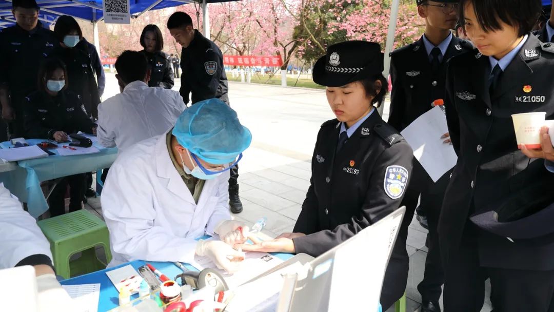 2024老澳门原料网大全