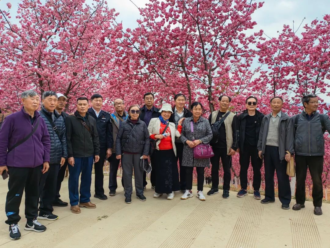 2024老澳门原料网大全