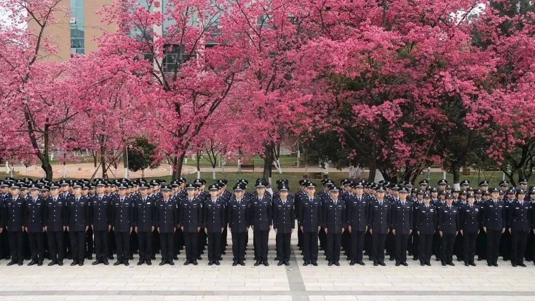 2024老澳门原料网大全