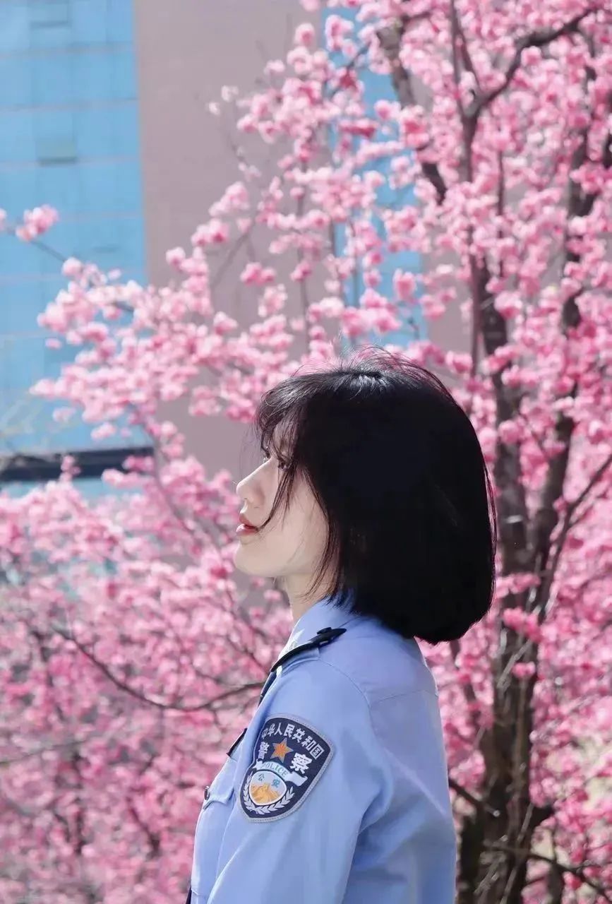 2024老澳门原料网大全