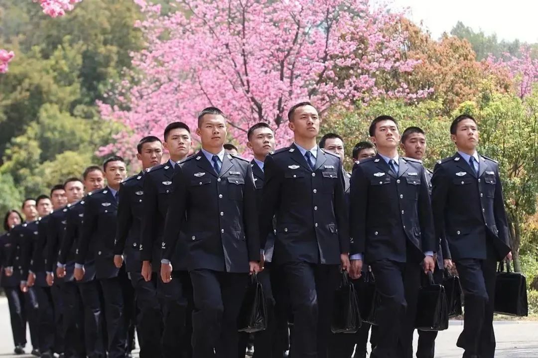 2024老澳门原料网大全