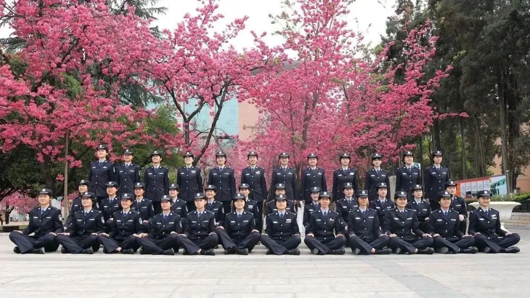 2024老澳门原料网大全