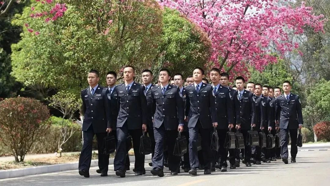 2024老澳门原料网大全