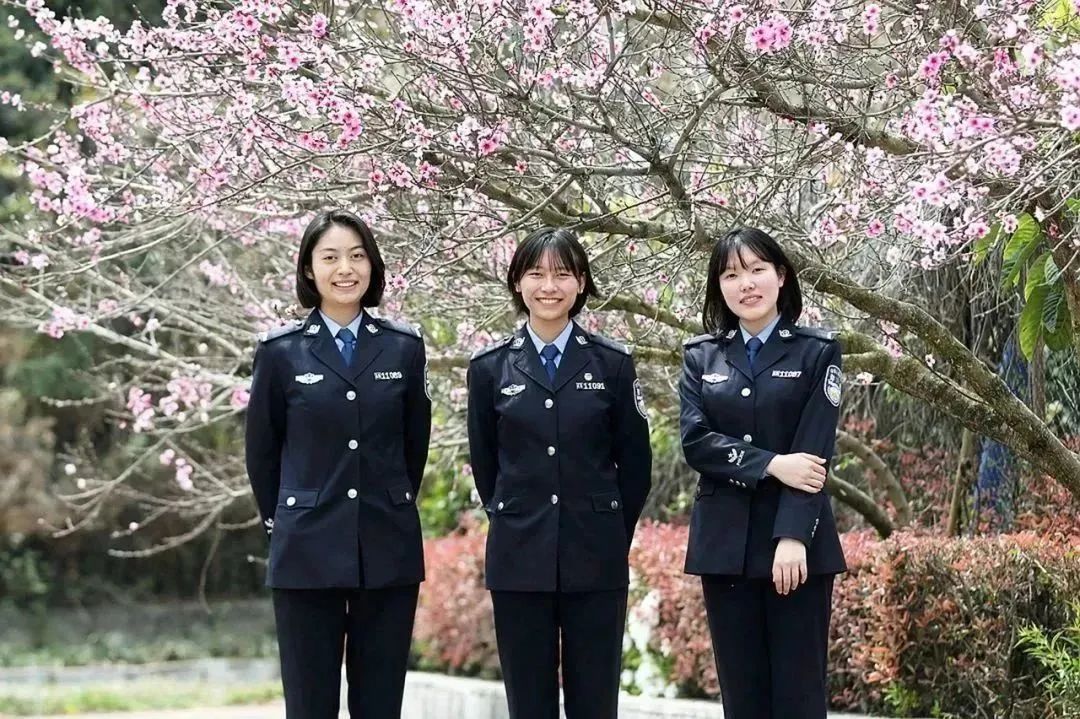 2024老澳门原料网大全