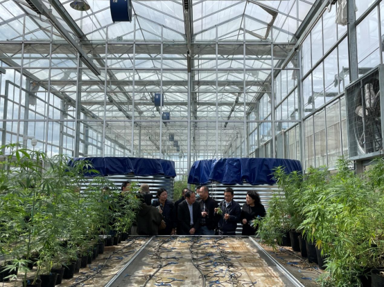 2024老澳门原料网大全