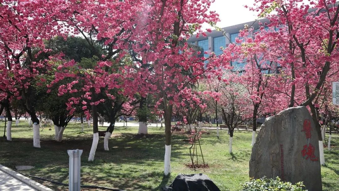 2024老澳门原料网大全