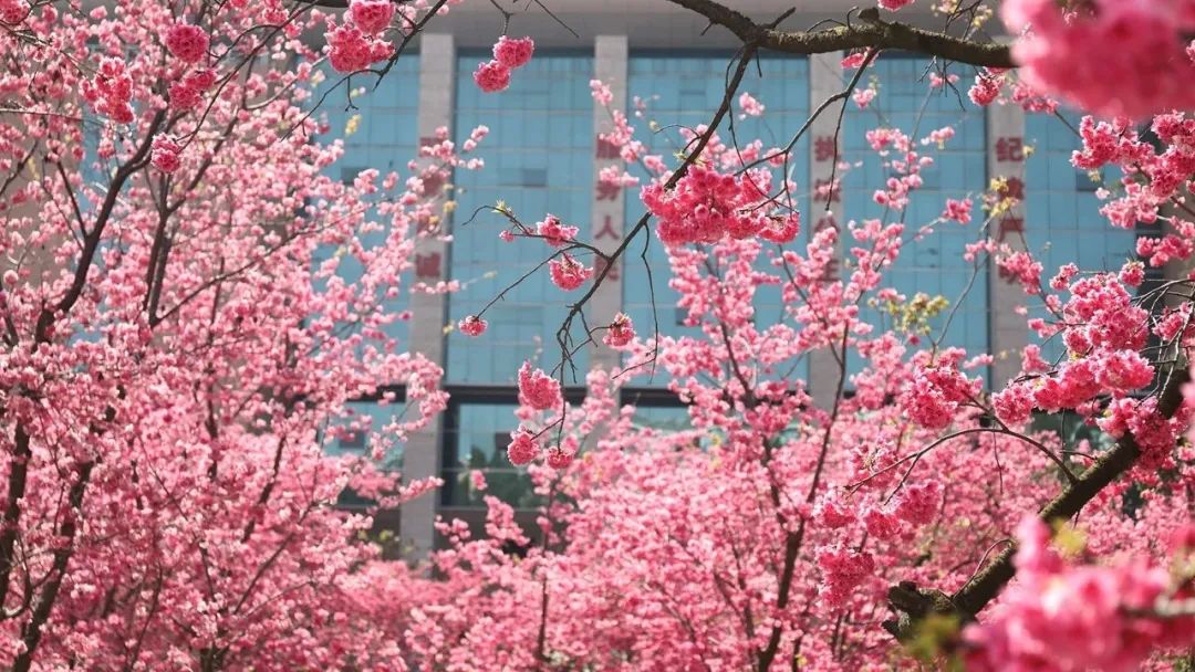 2024老澳门原料网大全