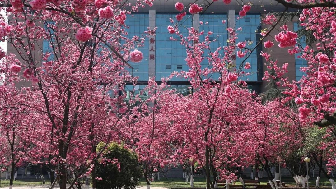 2024老澳门原料网大全