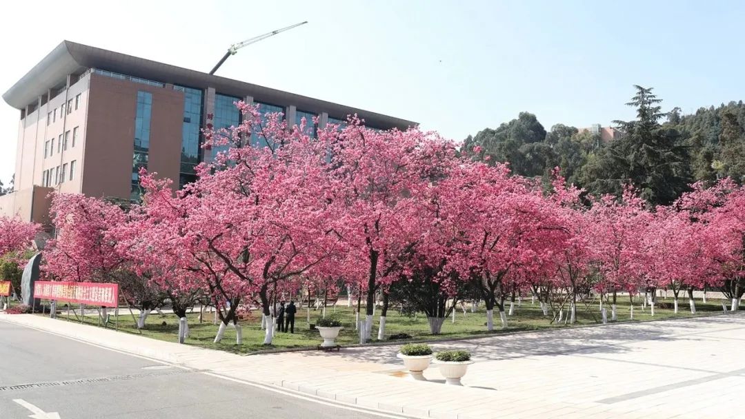 2024老澳门原料网大全