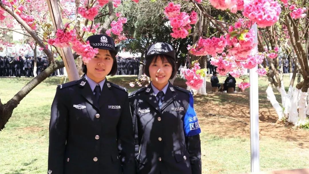 2024老澳门原料网大全