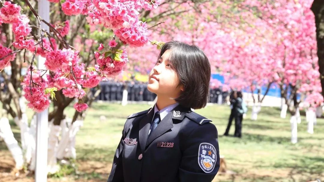 2024老澳门原料网大全