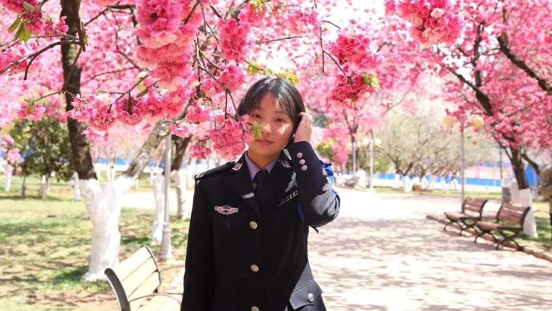 2024老澳门原料网大全