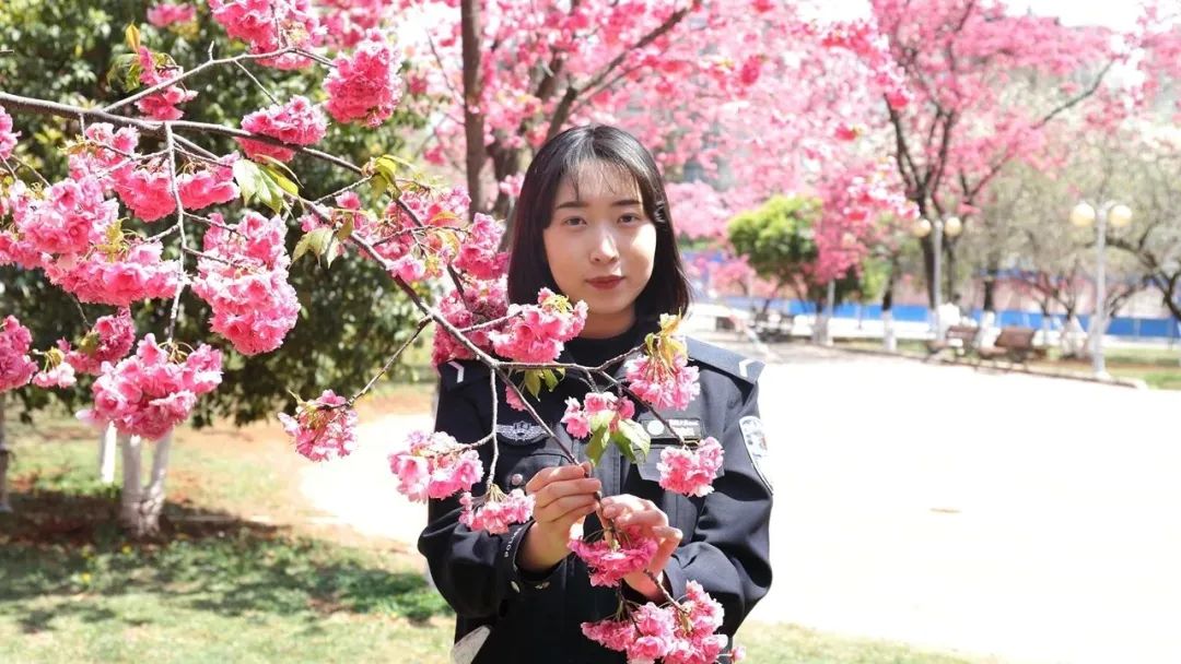 2024老澳门原料网大全