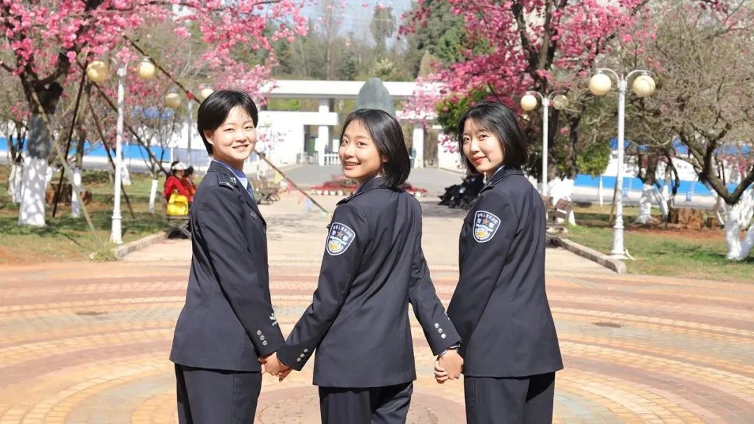 2024老澳门原料网大全