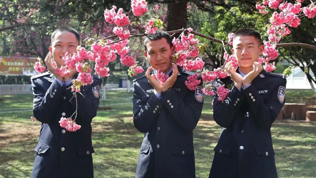 2024老澳门原料网大全