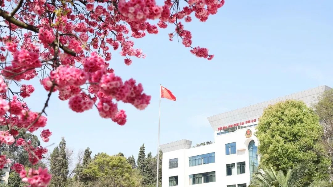 2024老澳门原料网大全