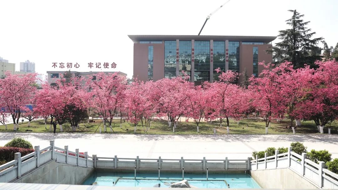 2024老澳门原料网大全