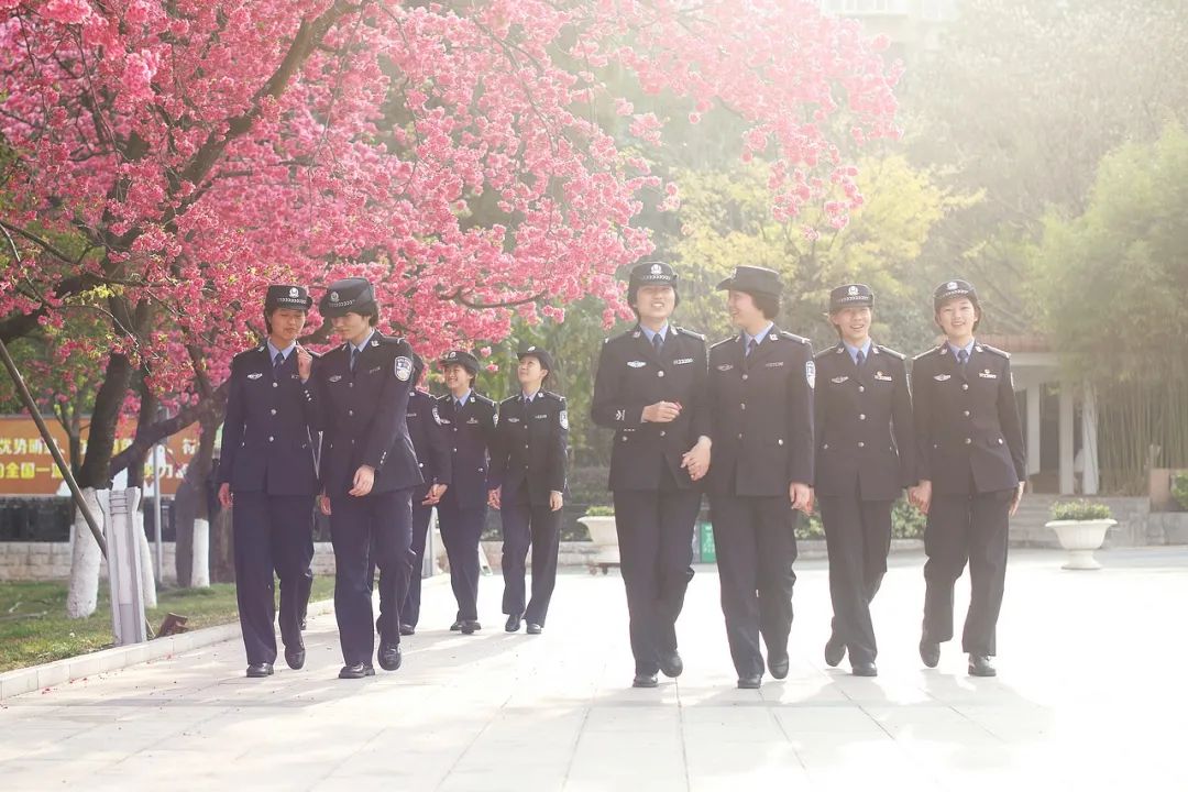 2024老澳门原料网大全