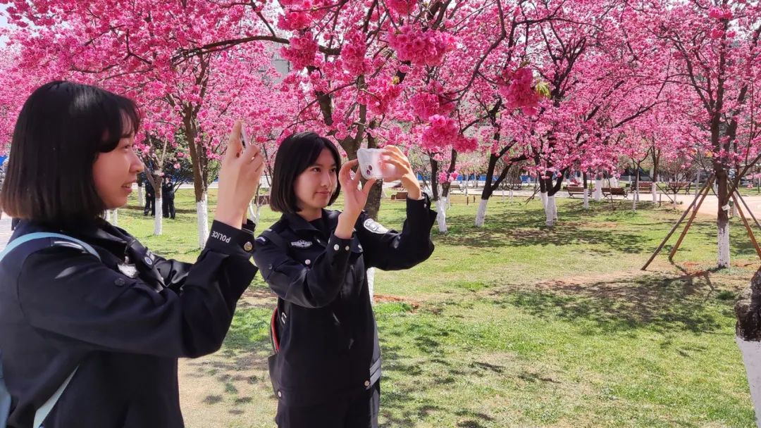 2024老澳门原料网大全