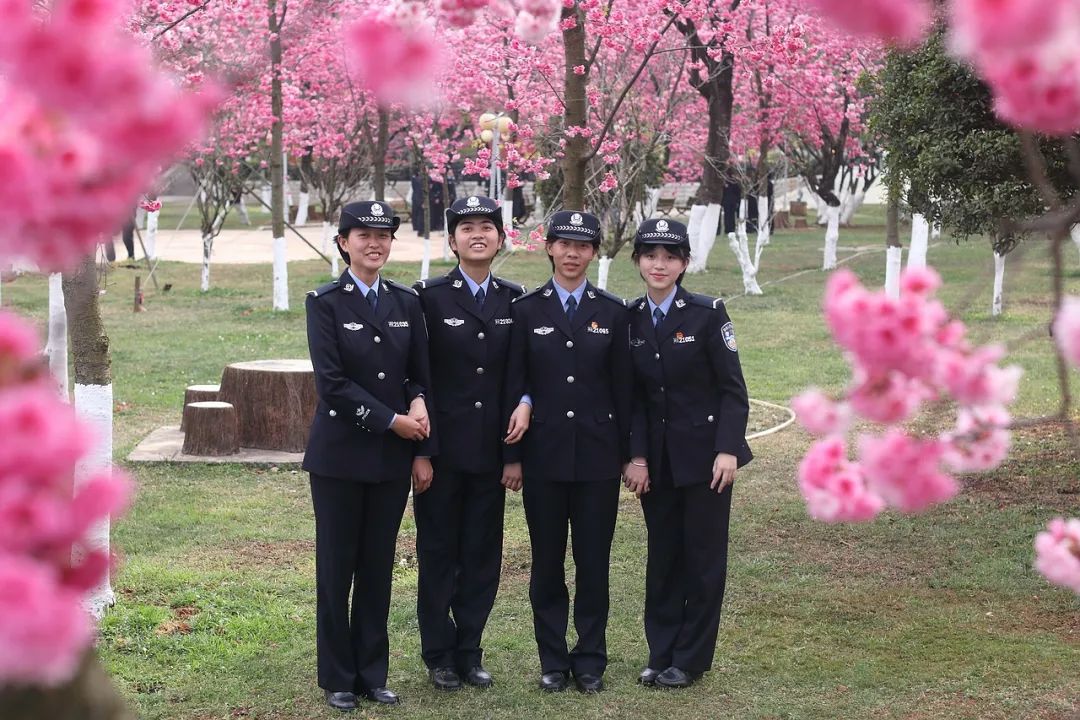 2024老澳门原料网大全