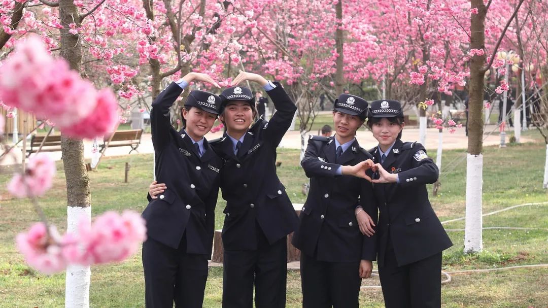 2024老澳门原料网大全