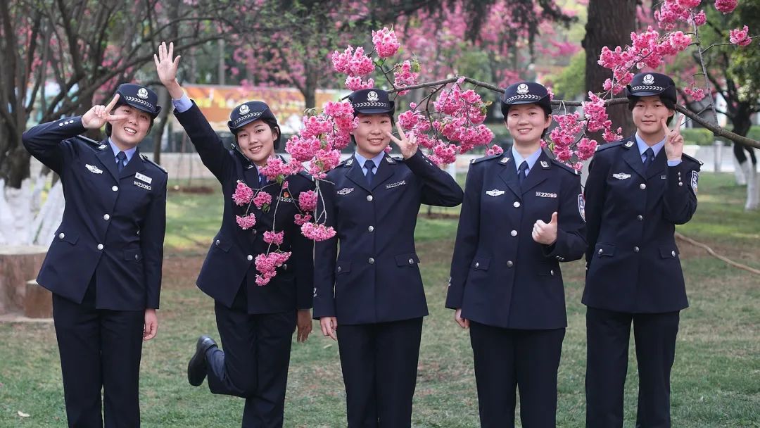 2024老澳门原料网大全