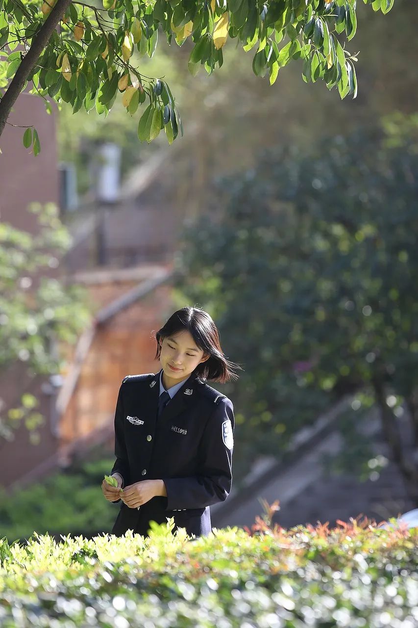 2024老澳门原料网大全