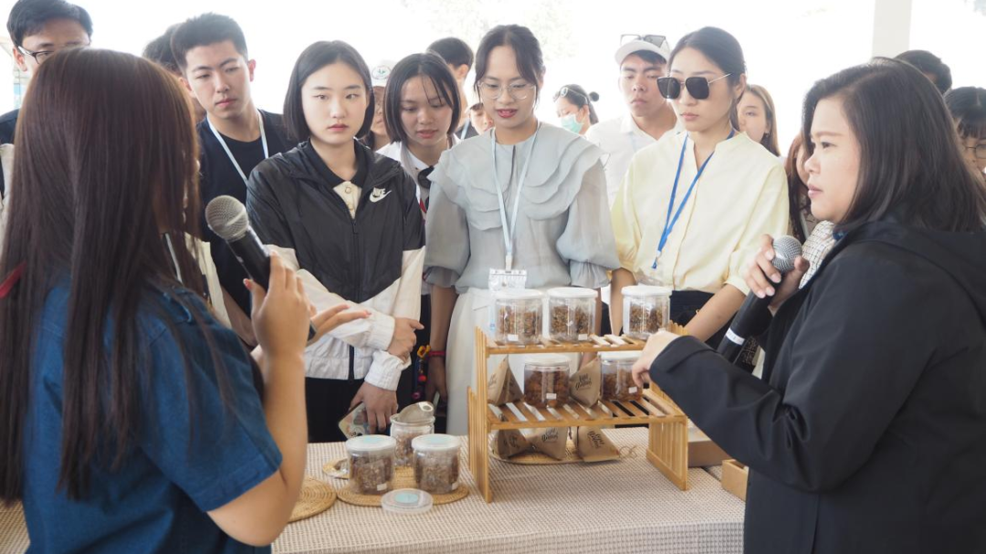 2024老澳门原料网大全