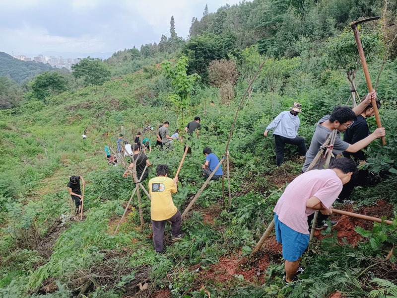 2024老澳门原料网大全