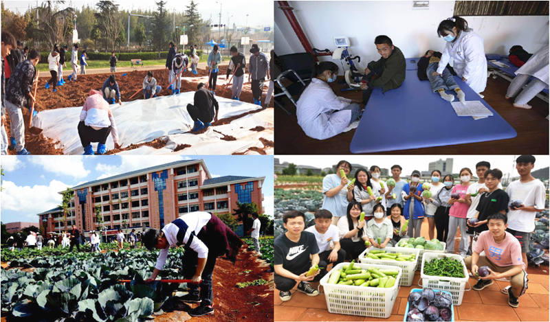 2024老澳门原料网大全